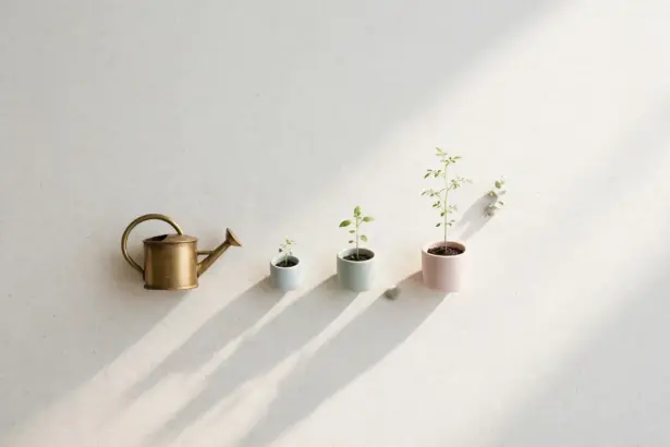 Flat-lay: a small brass watering can beside a row of tiny potted seedlings at different heights on a pale off-white background, the tallest casting a long soft shadow