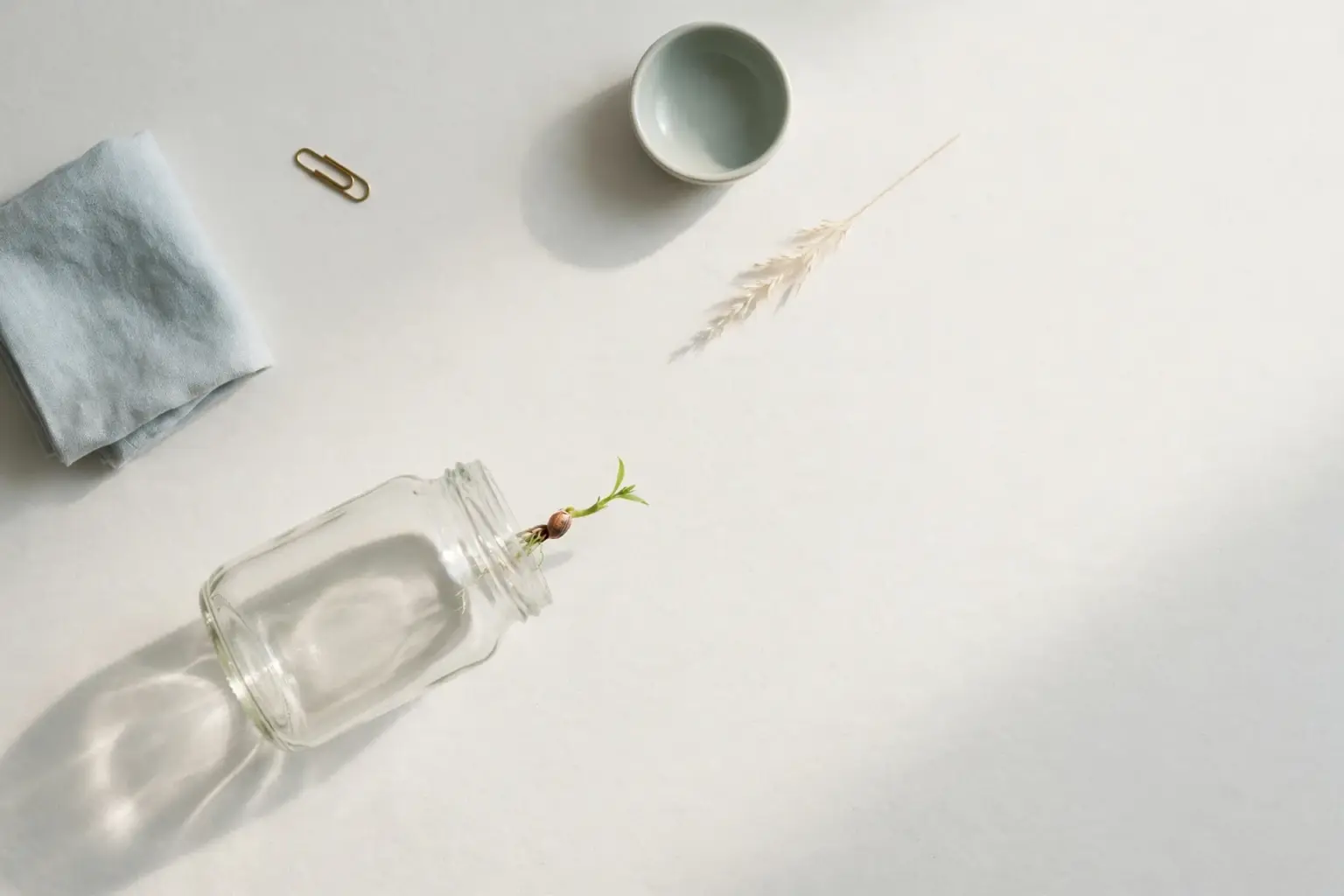 Flat-lay: an empty glass jar on its side on a pale off-white background with a single seed rolling out and sprouting a tiny green shoot on the paper