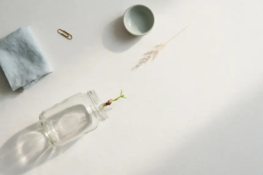 Flat-lay: an empty glass jar on its side on a pale off-white background with a single seed rolling out and sprouting a tiny green shoot on the paper