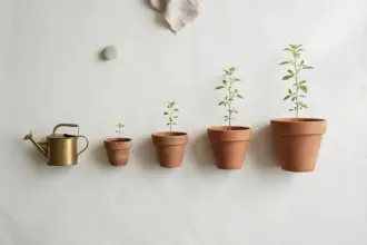 Flat-lay: a row of terracotta pots in increasing sizes on a pale off-white background, each holding a slightly taller green seedling, with a small brass watering can at the start of the row